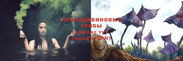 крисы Арсеньев