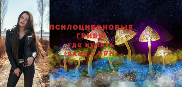 крисы Арсеньев