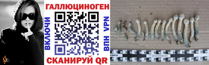 цены Тавда Галлюциногенные грибы ЛСД
